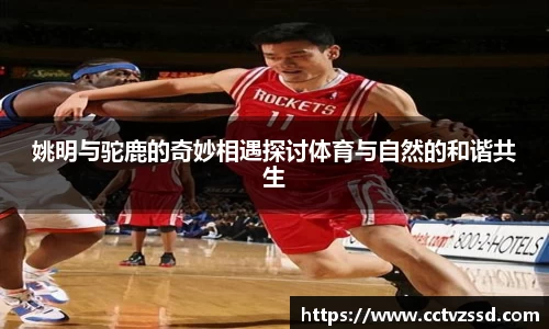姚明与驼鹿的奇妙相遇探讨体育与自然的和谐共生